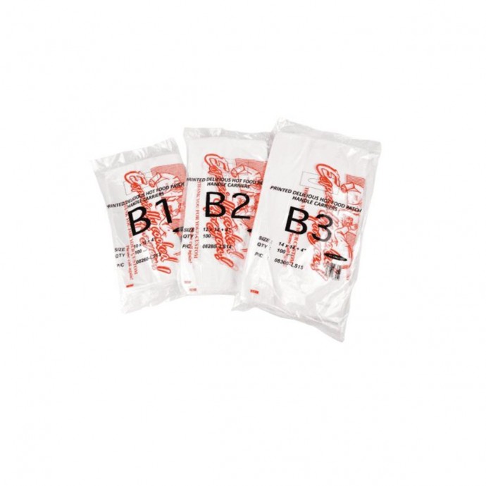 B2 Chinese Takeaway Bags