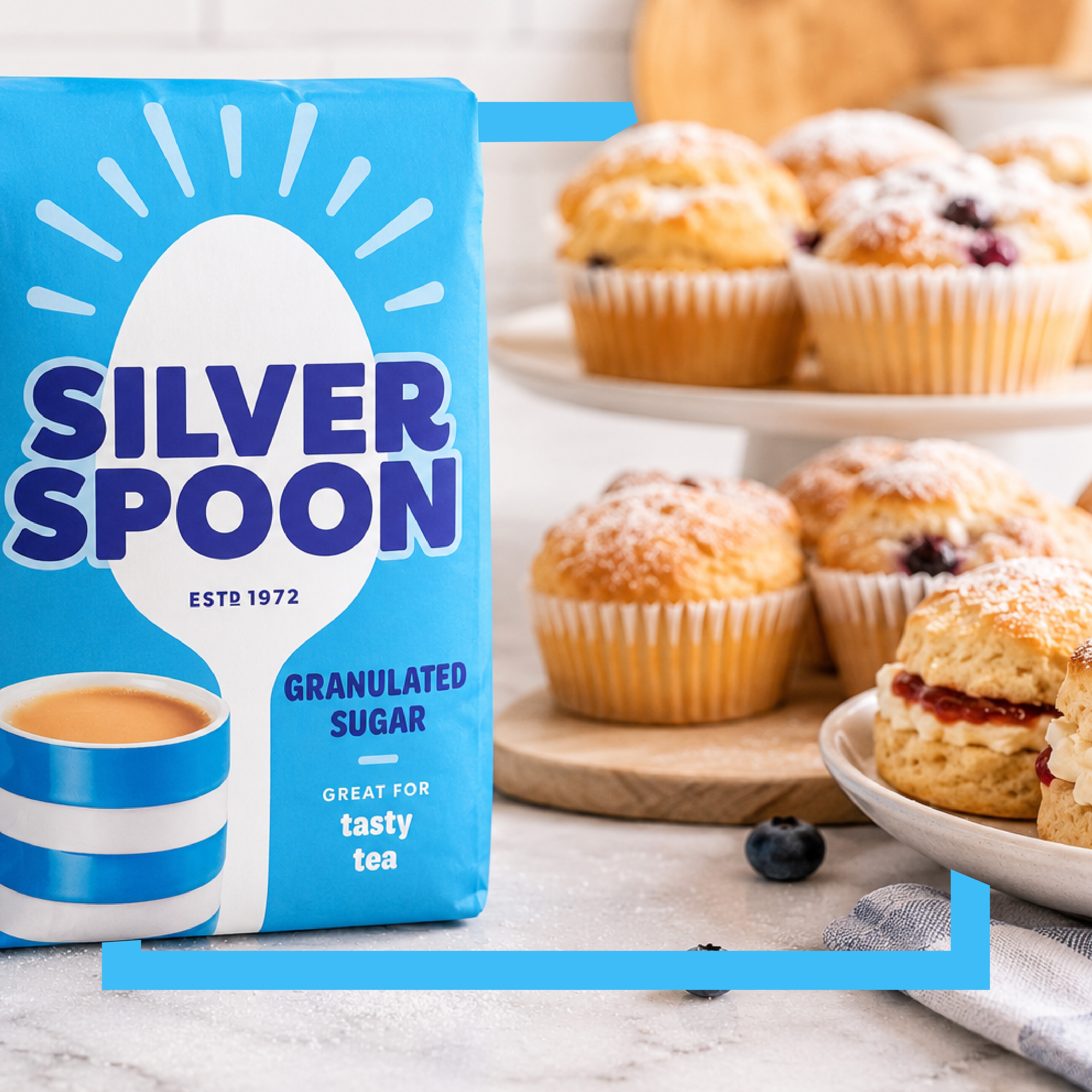 Silver Spoon Banner